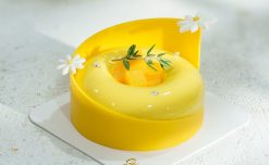 Bánh sinh nhật mini - Mousse xoài